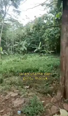 Dijual Tanah Jl Kaloran Kandangan Temanggung Jawa Tengah