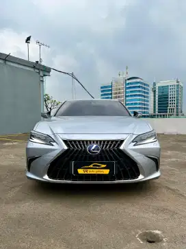 Lexus Es300h Nik2022