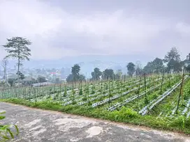 Tanah Pekarangan View tanpa Terhalang, Kemuning Karanganyar