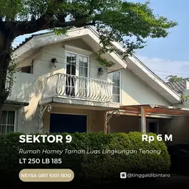 Rumah Homey Taman Luas Asri Tenang Dalam Cluster Sektor 9 Bintaro