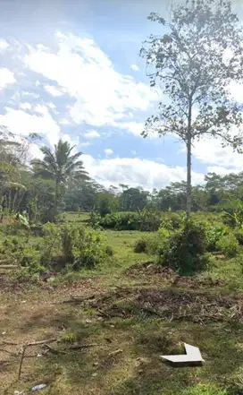 Dijual Tanah  Jl Wonosobo Purworejo,Wonosobo,Jawa Tengah