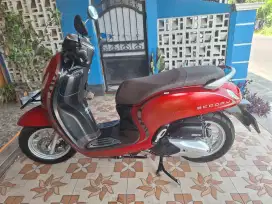Scoopy keyless 2021 low km pajak panjang bisa cash/kredit syariah