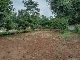 Jual Tanah di Sentul di Desa Ciyajanti