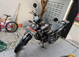 Honda Tiger 2008