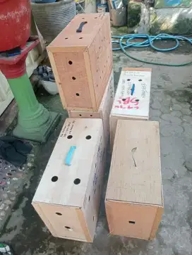 Box untuk kiriman ayam luar kota dll