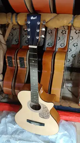GITAR CORT Akuatik