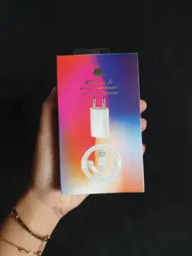 Charger iPhone 5W Model iBox Kaki 2 + Kabel