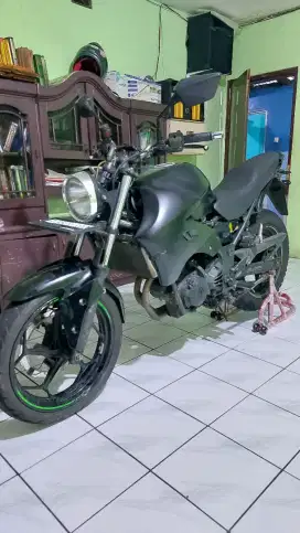 Kawasaki Ninja 250