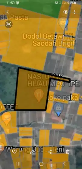 Tanah Dijual  Jl. Pinding Jagakarsa