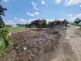Barat Cengkir Resto, Lingkungan Homestay, Beli Selagi Murah