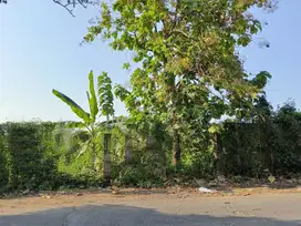 Dijual Tanah Cocok Untuk Perum Lokasi Beringin Raya Semarang