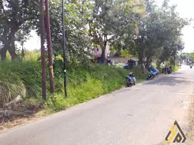 Tanah Industri SHM 1 Hektar di Banjarsari – Cocok untuk Pabrik,