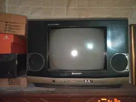tv Sharp Alexander