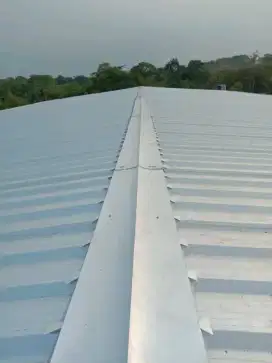 Jasa perbaikan atap bocor dinding dak rembes talang air cat renovasi