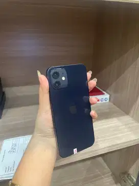 12 256 blue beacukai