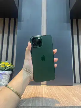 13 promax 128 alphine green beacukai