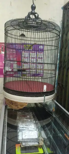 Sangkar Murai No 1 layak pakai istimewa