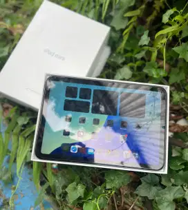 Ipad mini 6 256gb