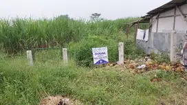 Di Jual Tanah 0 Jln Raya KEDAMEAN - Gresik