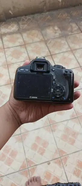 Canon 550d + tamron 70- 300+ 50mm mark ii