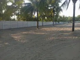 Pagal panel beton dan kawat duri