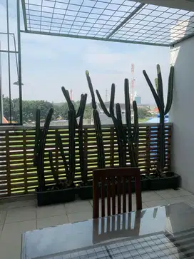 Rumah Di Batununggal Indah Soekarno Hatta Bandung
