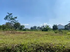 Peluang Langka! Tanah Dekat UIN Malang untuk Rukos