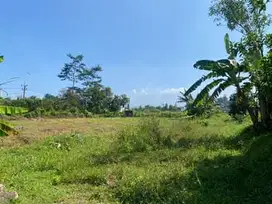 Miliki Tanah Strategis Dekat Kampus UIN – Siap Bangun Rukos!