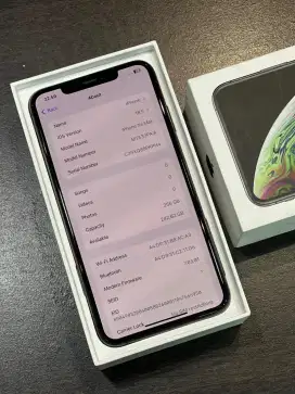 jual iPhone XS Max 256gb iBox