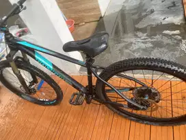 Polygon Xtrada 8 mountain bike.