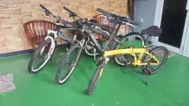 MTB Specialized, MTB Orbea , Selis B to W polygon.