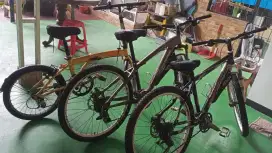 MTB Specialized, MTB Orbea , Selis B to W polygon.