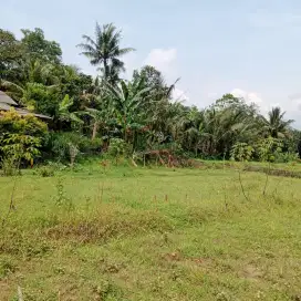Dijual Cepat Tanah Pabuaran Sukamakmur Bogor