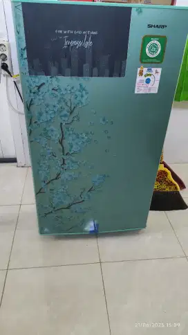 kulkas sharp 1 pintu