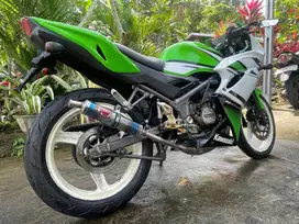 Kawasaki RR 2014 (0852-9806-4248)