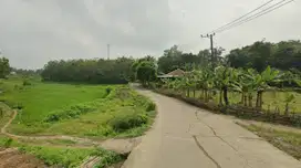 View Sawah & Bukit, Mulai 800 Rb-an Kavling SHM Bekasi