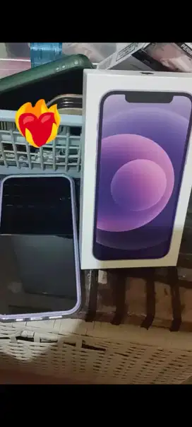 iPhone 12 warna purple di jual cepat