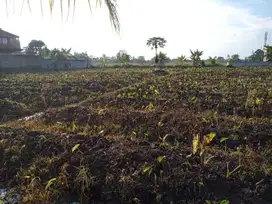 Kavling area Dramaga Bogor tersisa 1 unit, Harga Spesial, bisa Cicil