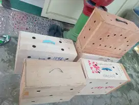 Box untuk kirim ayam