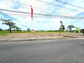 Tanah Sleman Tepi Jalan Harga 3 Juta-an SHM P