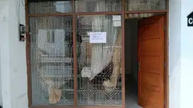 Dikontrakan Rumah Padasuka, Cicaheum Bandung