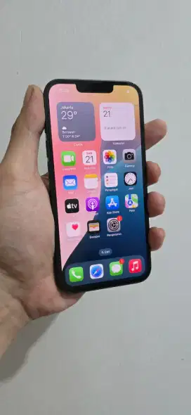 IPhone 13 256gb Digimap