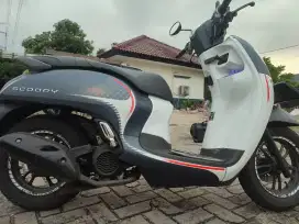 Scoopy 2024 Stylish