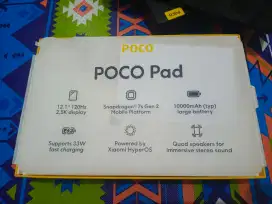 Poco pad 8/256.