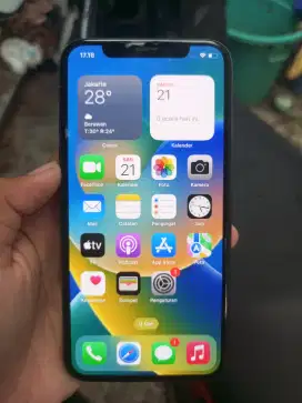 iPhone X 256GB Hp only