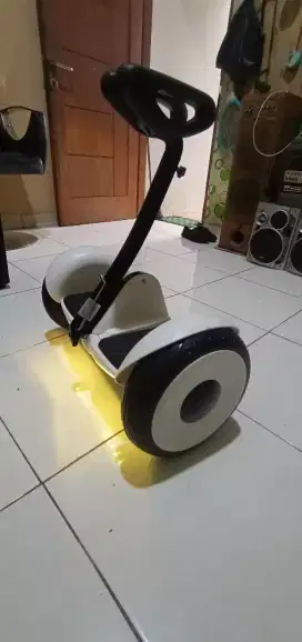 Smart wheel hoverboard