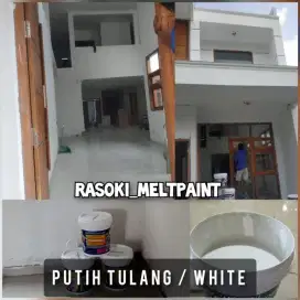 Cat Tembok 20kg
