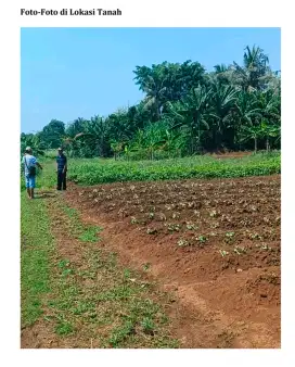 Dijual Tanah Balaraja