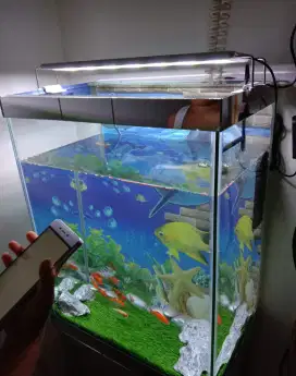 Satu set Aquarium dan perlengkapannya