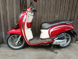 Scoopy th 2013 orian